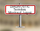 Diagnostic Termite AC Environnement à